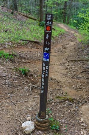 Buckhorn Gap trail sign at the upper Twin Falls intersection.