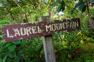 Lichen-Encrusted Laurel Mountain Sign