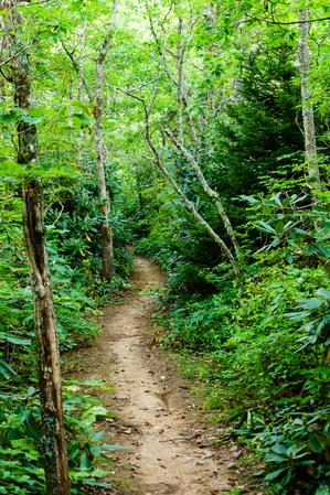 Get ready to rumble as you head down the Pilot Rock trail from the point shown here.