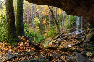 Slickrock Falls in Fall