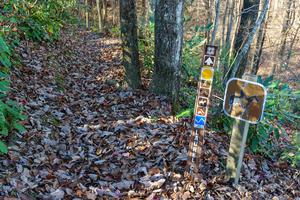 Laurel Creek Trail at Squirrel Gap