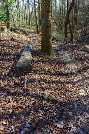 Squirrel Gap Trail Feature