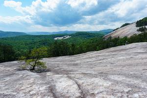 View from Below Stone Mountain