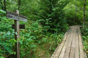 Mountains to Sea and Lower Falls Bridge