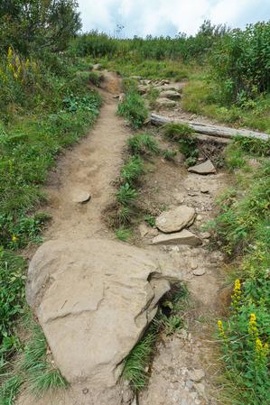 Erosion and Bypass on the Art Loeb Trail