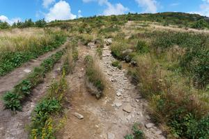 Multiple Eroded Paths on the Art Loeb Trail