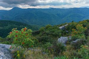 View from Sam Knob in Late Summer