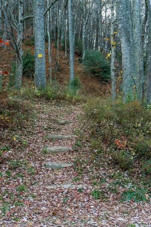 Steps at the Start of the Bald Knob Ridge Trail