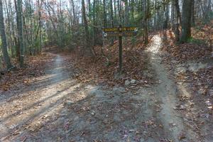 Hickory Mountain Loop and Ridgeline Trails