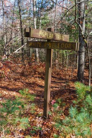 Poplar Loop and White Pine Loop Trail Sign