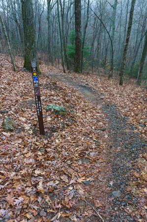 Chestnut Cove Trail Sign