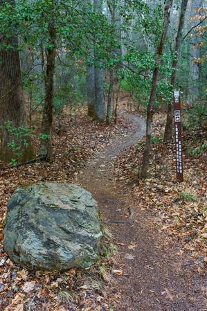 Start of Lower Sidehill Connector Trail