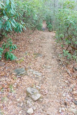 Rocky Section of the Fletcher Creek Trail