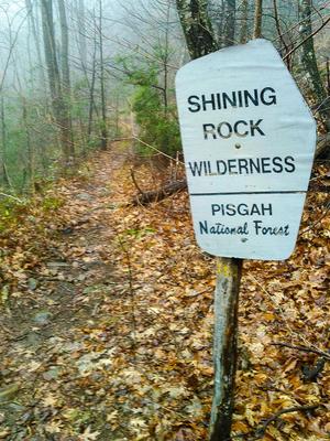 Shining Rock Wilderness Sign