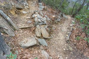 Rock Steps and Switchback on the Lower Piney Trail