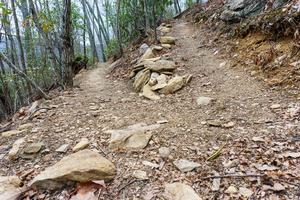 Switchback on the Lower Piney Trail