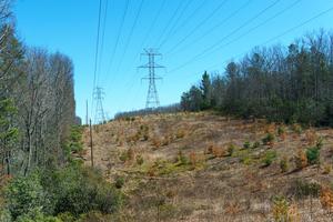 Powerlines on Fawn Lake Road