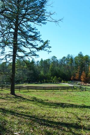 Pine and Horse Pasture