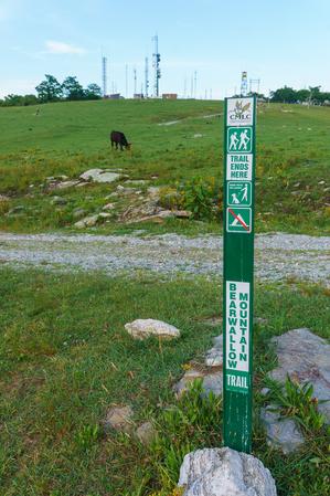 End of the Bearwallow Mountain Trail