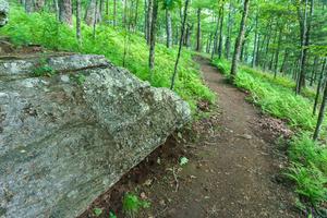 Bearwallow Mountain Trail Past Rock