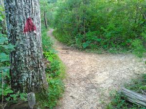 Red Blazed Haw Creek Overlook Path