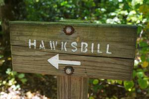 Hawksbill Trail Directional Sign