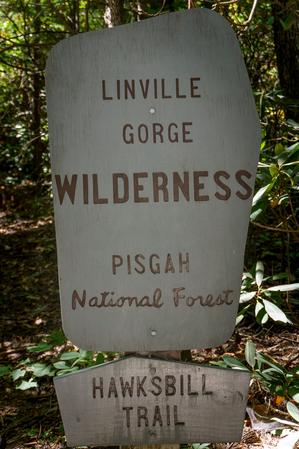 Hawksbill Trail Sign