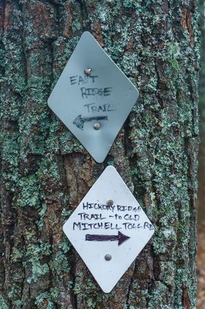 Hickory Ridge and East Ridge Trails