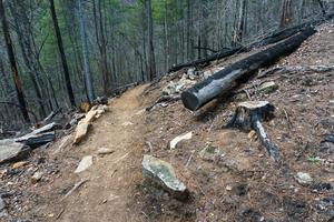 Burned Logs and Rocks on the Chestnut Knob Trail