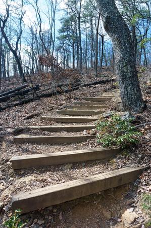 Steps on the Chestnut Knob Trail