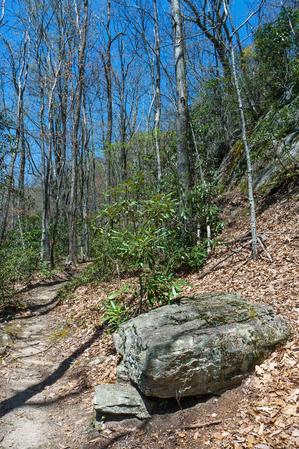 Rock Outcrop on the Farlow Gap Trail