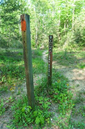 Old Sign Post on the Long Branch Trail