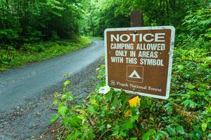 Camping in Designated Sites Only