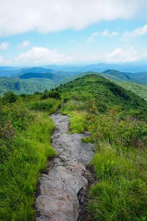 Art Loeb Trail on Tennent Mountain