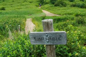 Wooden Sign for the Art Loeb Trail