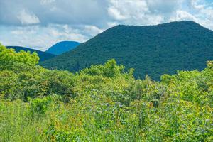 View of Sam Knob and Mount Hardy From the Ivestor Gap Trail