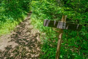 Art Loeb - Shining Creek Trail Junction