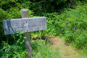 Art Loeb Trail Sign in Shining Rock Gap