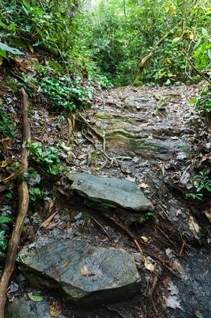 Rock Steps on the Duggers Creek Trail