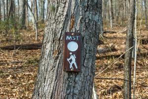 MST Sign on the Buck Spring Trail