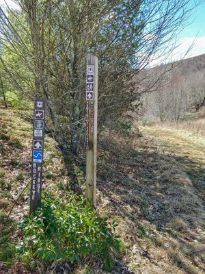 Buckey Ridge and Max Patch Loop Trails