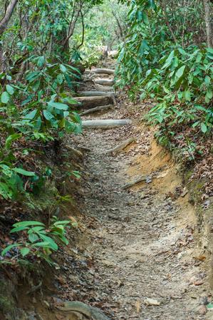 Heavily Eroded Cat Gap Loop Trail