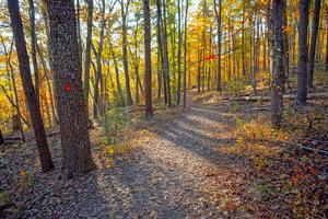 Blaze and Fall Colors on the Rumbling Bald Loop Trail