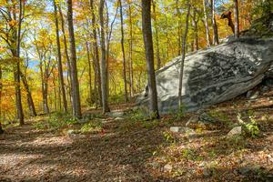 Boulder and Fall Color on the Rumbling Bald Loop Trail