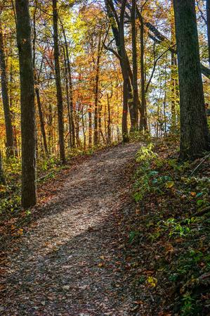 Fall Color on the Rumbling Bald Loop Trail