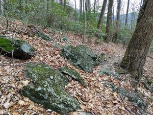 Rocky Reprieve on the Stomping Knob Trail