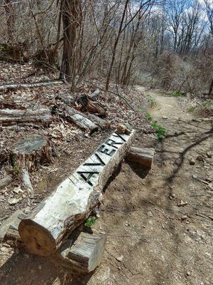 Avery Creek Trail Junction