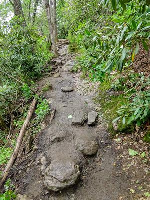 Muddy and Rocky Section of the Whiteside Mountain Trail