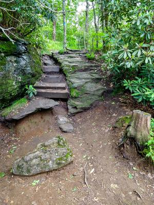 Trail Through Rock Cranny