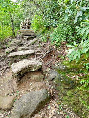 Approaching Stair Structure on the Whiteside Mountain Trail